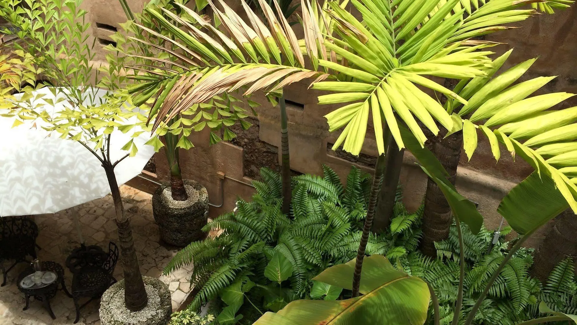 El Beaterio Casa Museo Hotel Santo Domingo Dominikai Köztársaság